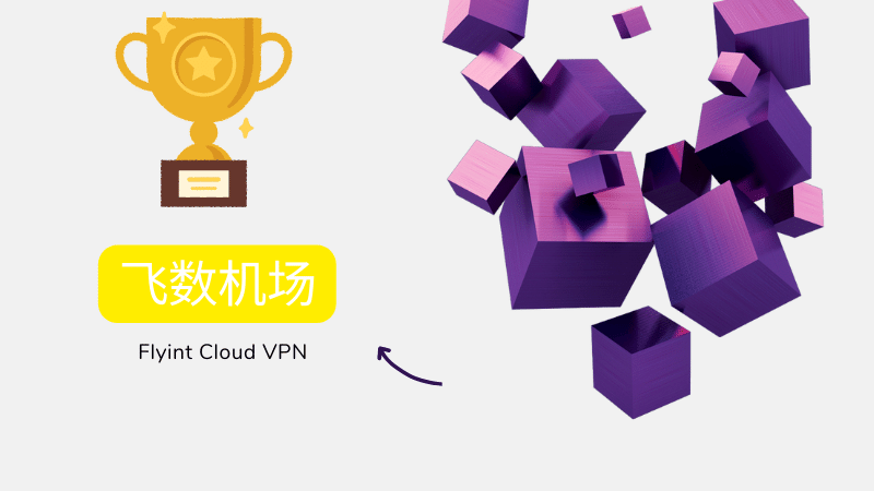 飞数机场 Flyint VPN 飞数机场 Flyint VPN