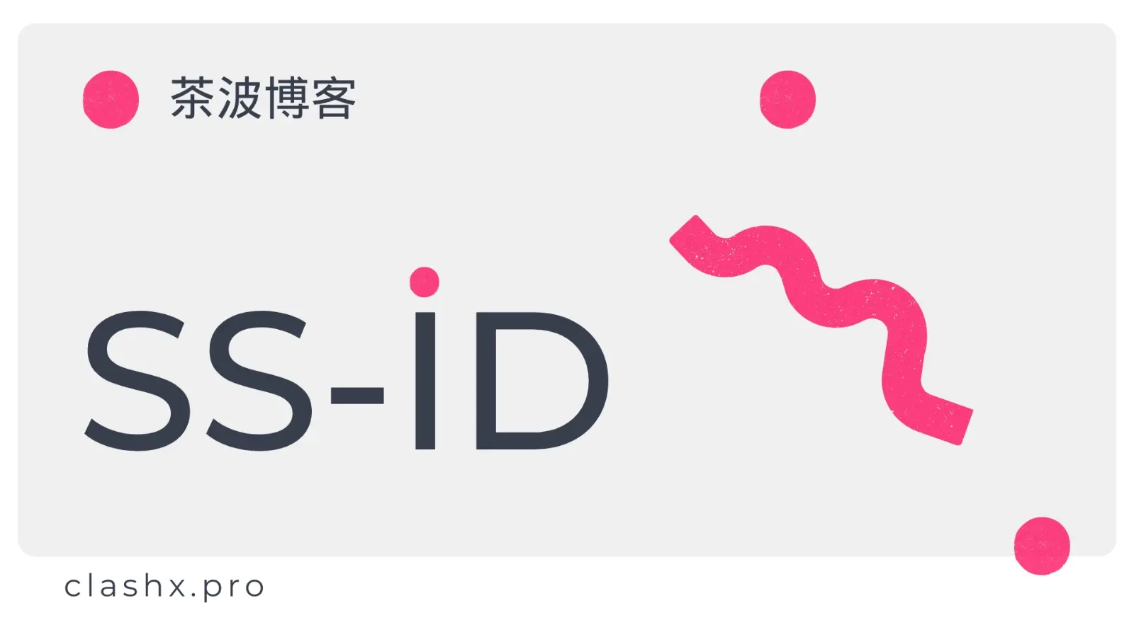 SS-ID 机场官网 SS-ID 机场官网