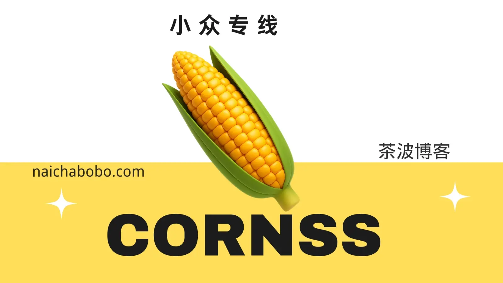 CornSS 机场